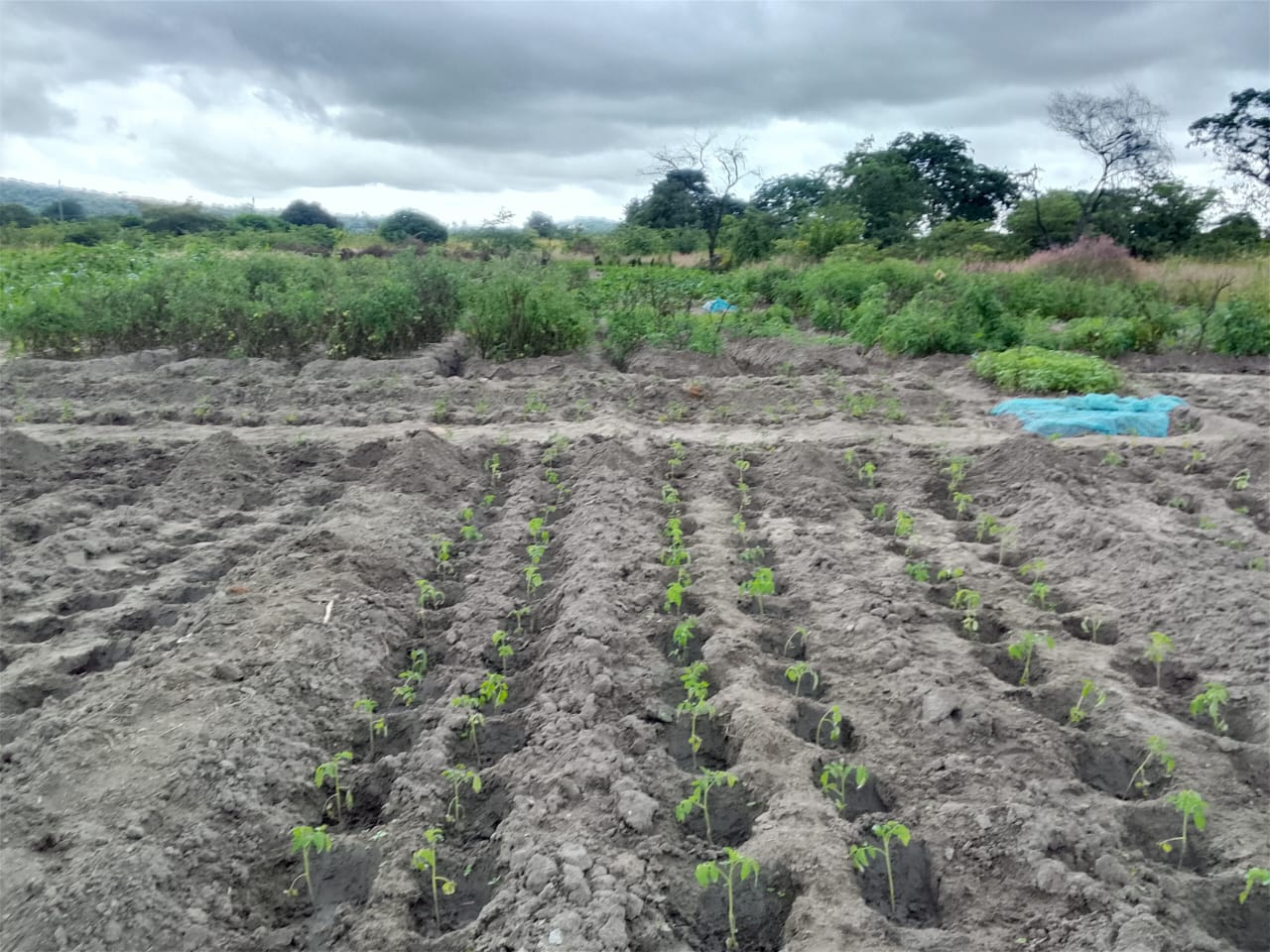 Community Water & Development Projects